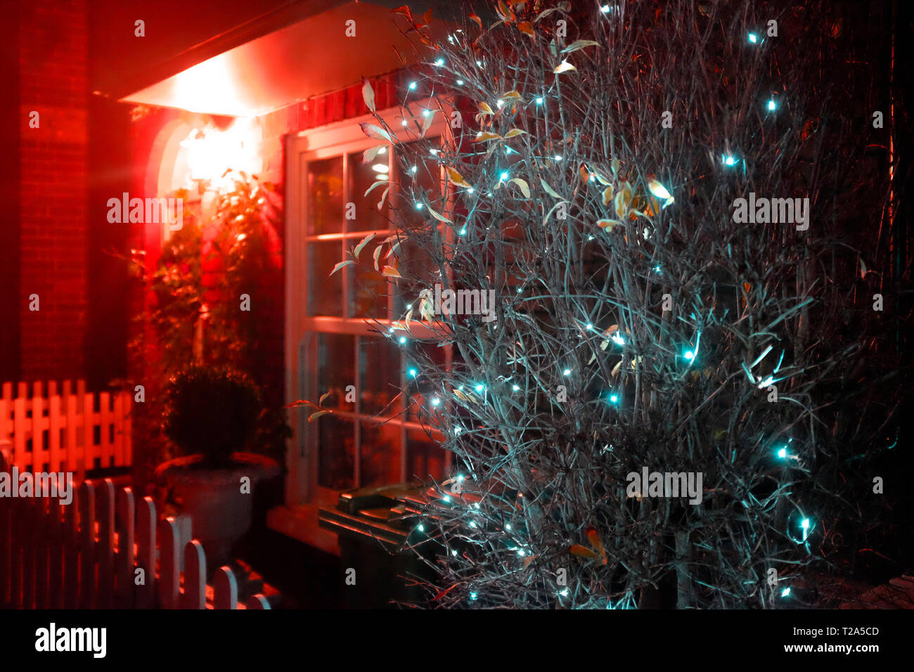 front,of,terraced,house,red,silver,christmas,lights,front,door,window,tree,picket,double,glazed,festival, Stock Photo