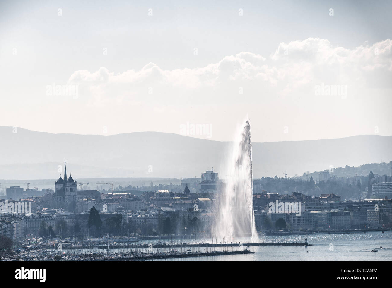 The Geneva, Switzerland lake (Lac Leman ) seen from Cologny with it's water fountain hit by the sunlight and the Saint Peters Cathedral. Stock Photo