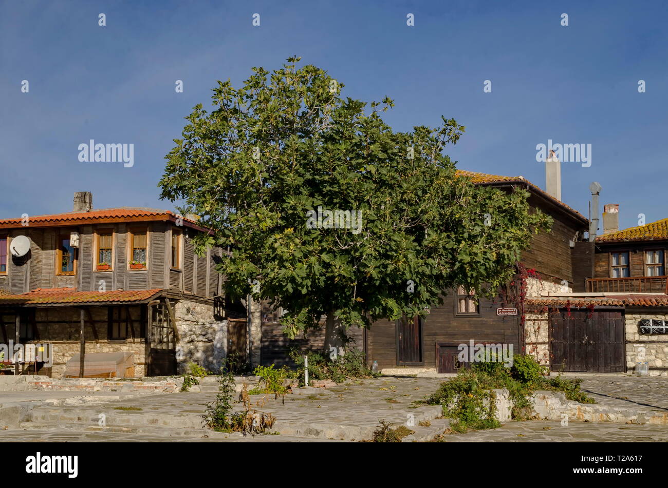 Old houses with vine at autumn in old town Nessebar, Bulgaria Stock Photo