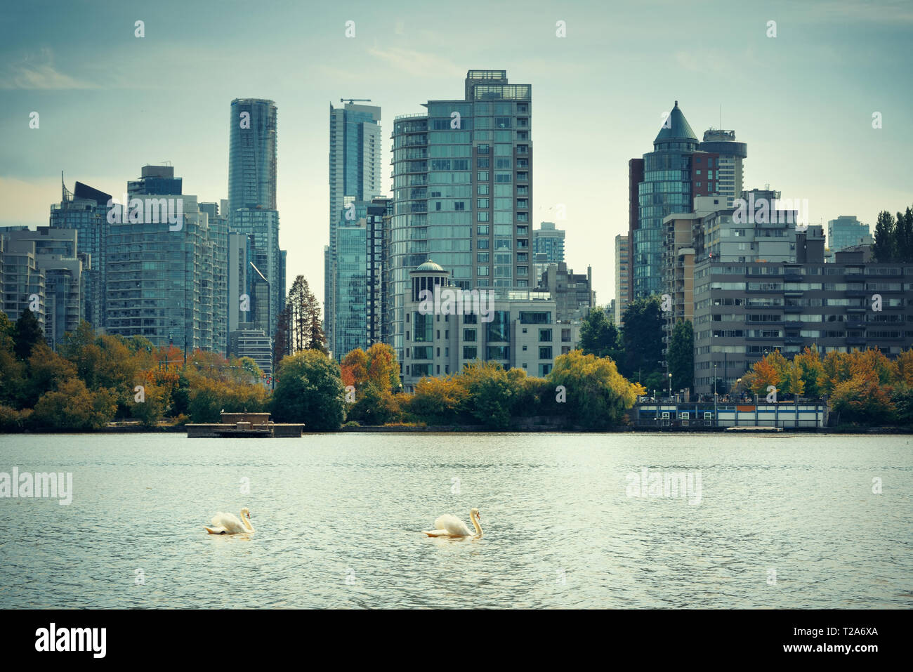 Vancouver city skyline viewed from Stanley Park Stock Photo - Alamy