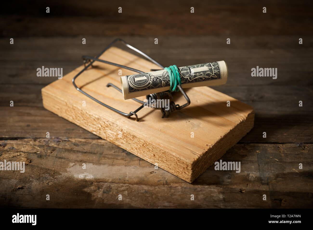 Dollar on a mouse trap Stock Photo Alamy