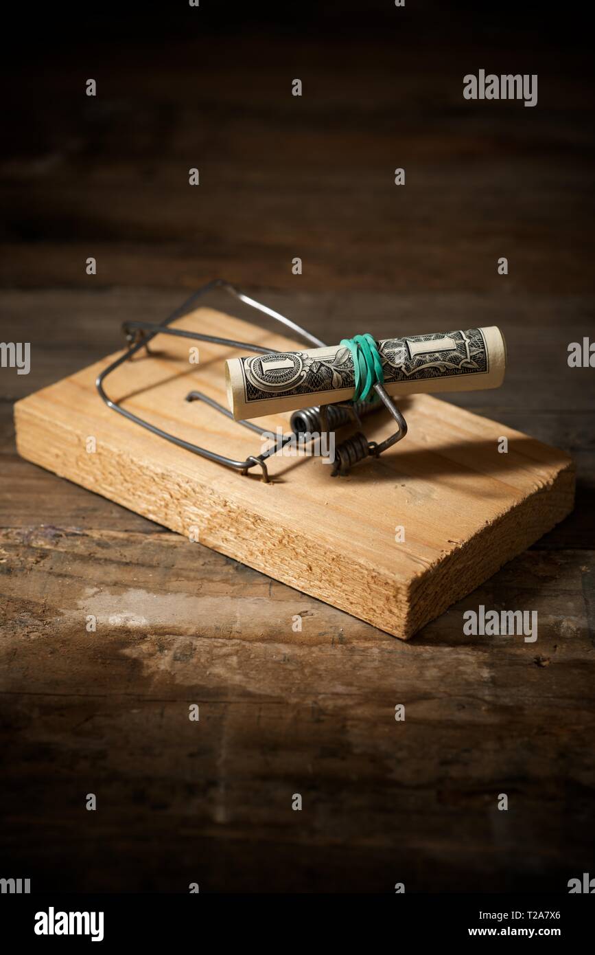 Dollar on a mouse trap Stock Photo Alamy