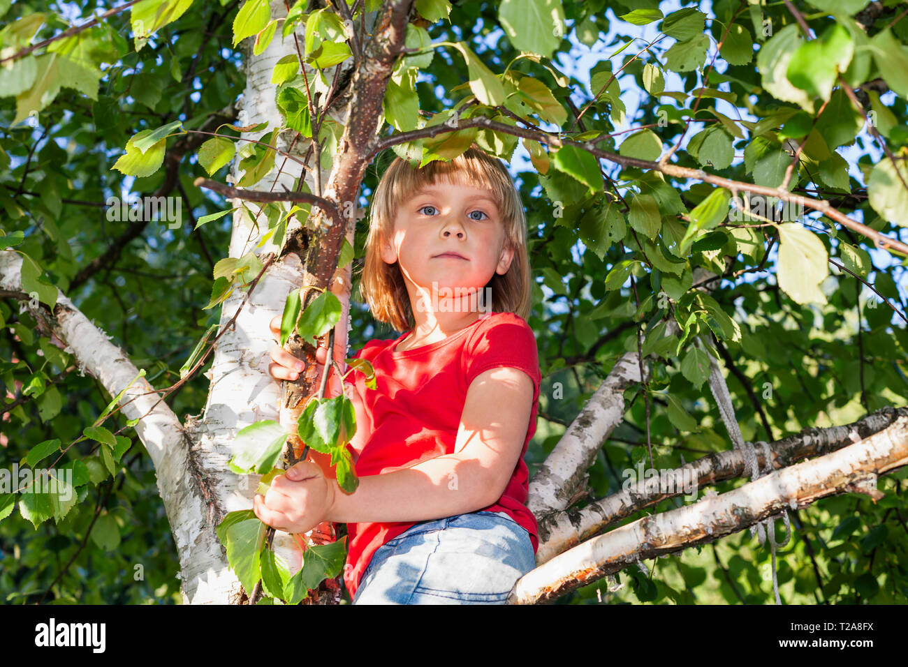 Elementary age girl climbing a tree branch while playing in a summer garden - child safety or risky play concept Stock Photo