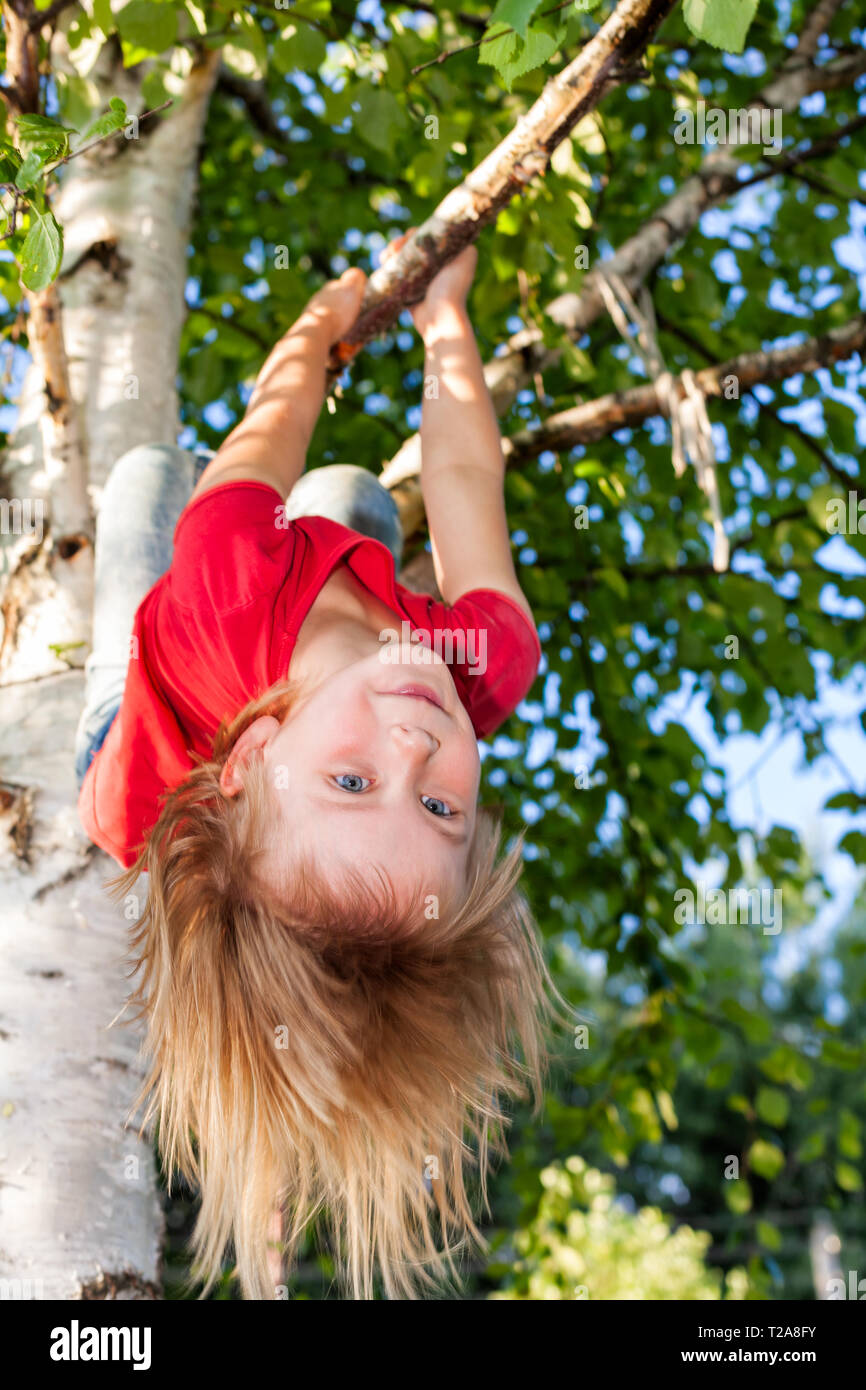 Elementary age girl hanging from a tree branch while playing in a summer garden - child safety or risky play concept Stock Photo