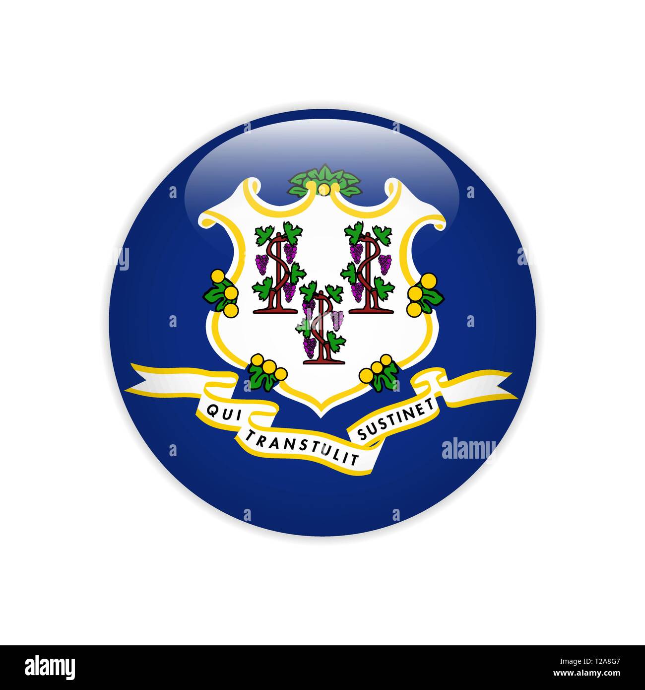 Country flag button web design Stock Vector Image & Art - Alamy