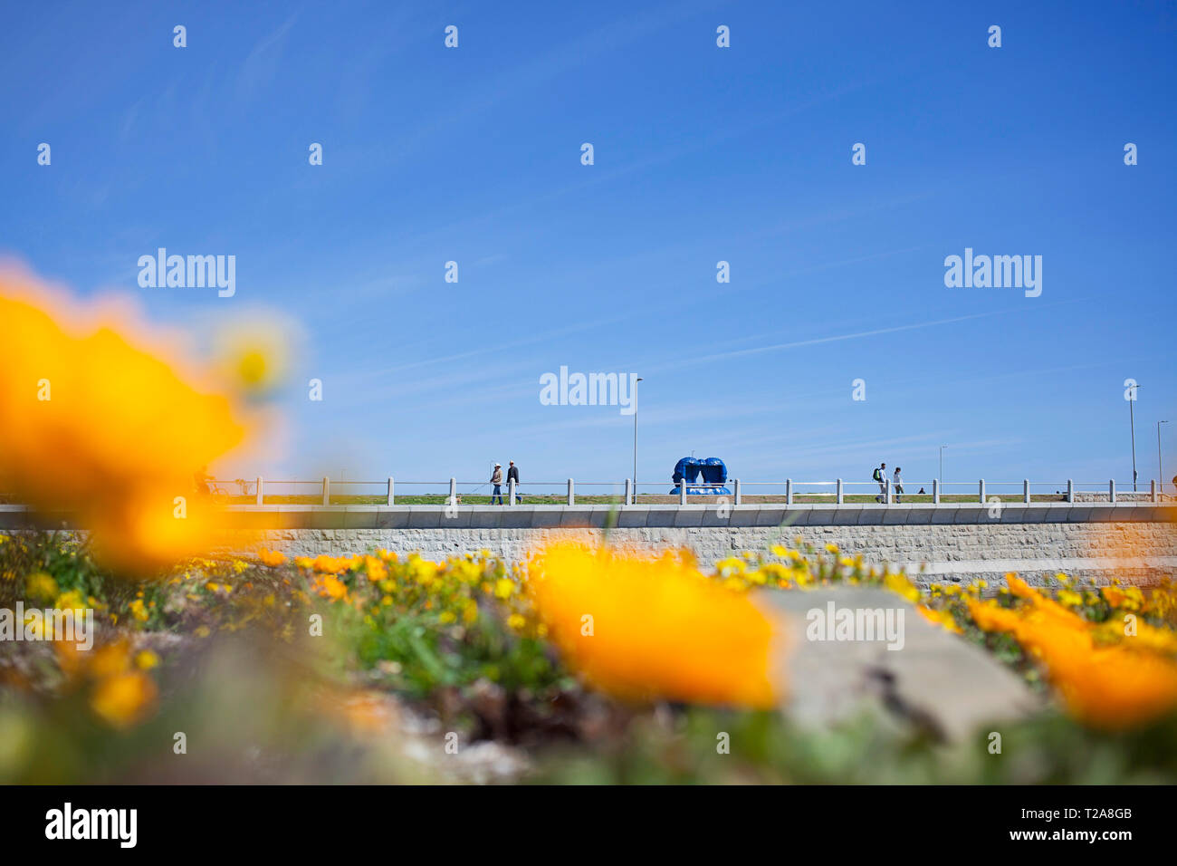 People walking along the promenade Stock Photo - Alamy