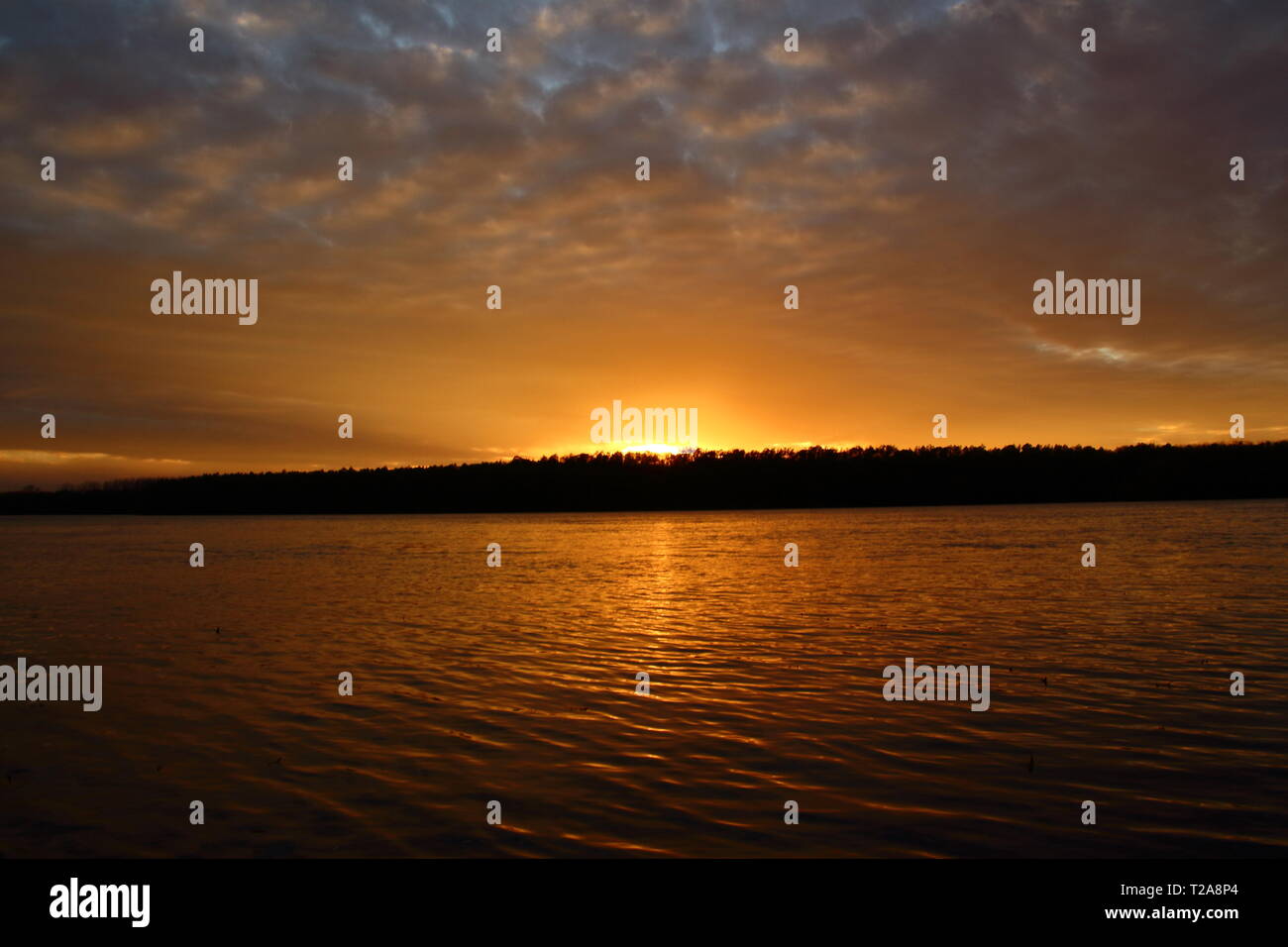 on Danube river Stock Photo Alamy