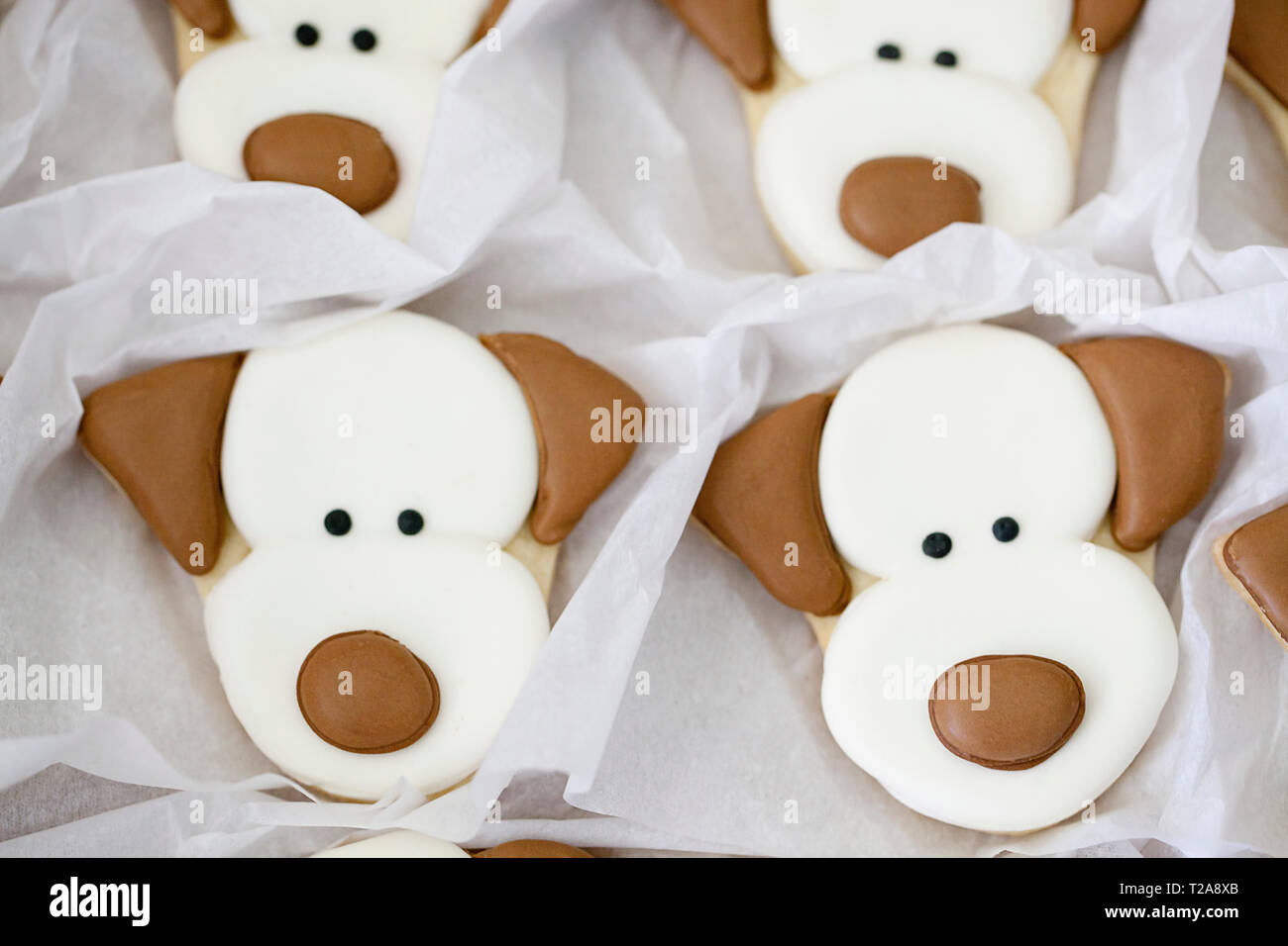 Dog face cookies and biscuits Stock Photo