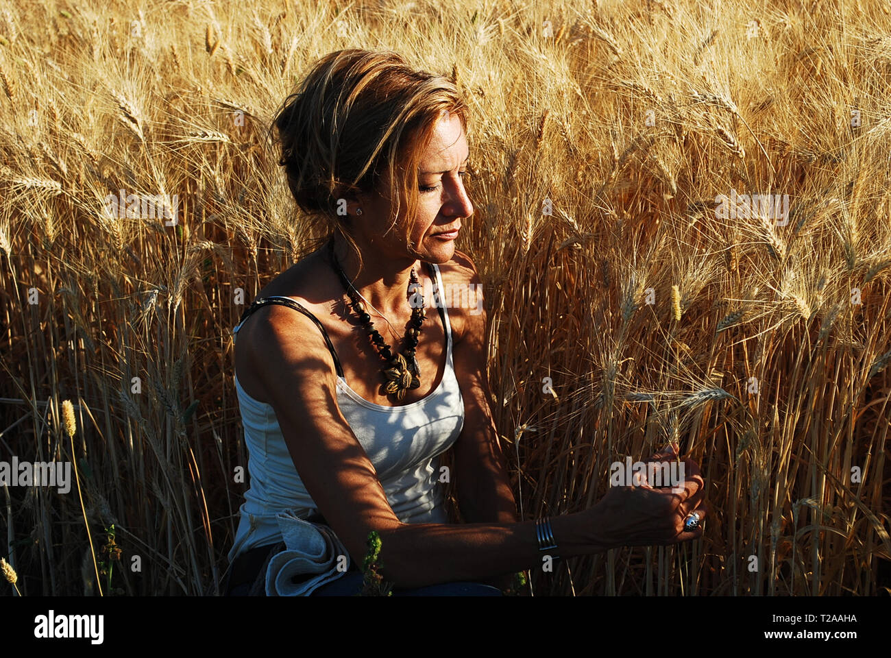 a beautiful woman in the wheat field Stock Photo - Alamy