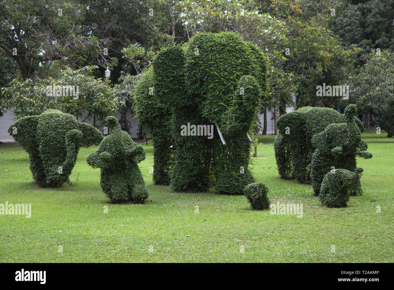 Topiary of Elephants at Bang Pa-In Palace, Ayutthaya, Thailand. Stock Photo