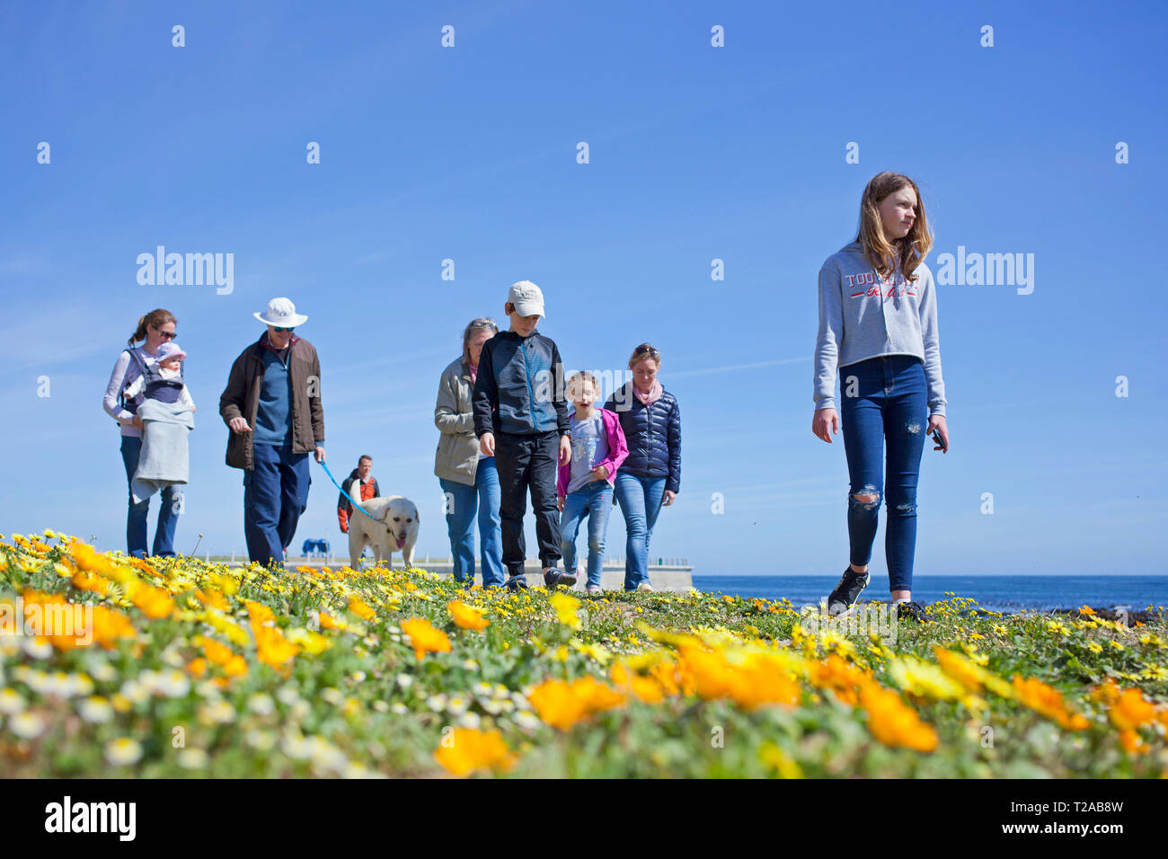 A family and their dog walking along the promenade, Sea Point, Cape Town. Stock Photo