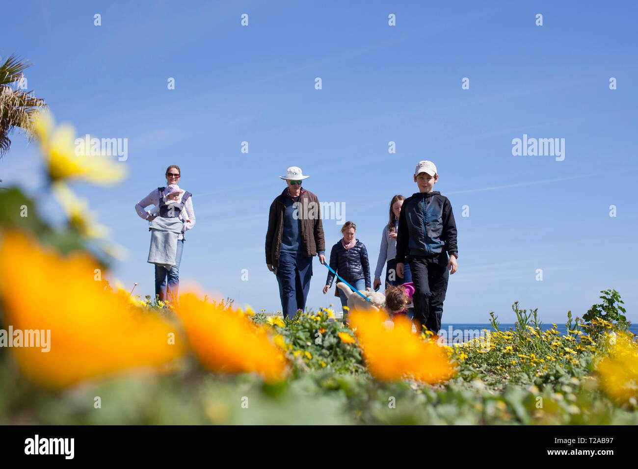 A family and their dog walking along the promenade, Sea Point, Cape Town. Stock Photo