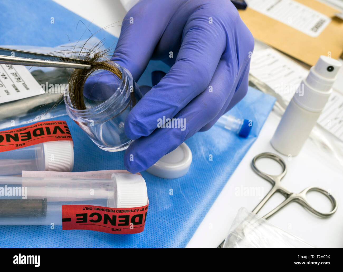 Criminalistic Laboratory, hair analysis, conceptual image Stock Photo