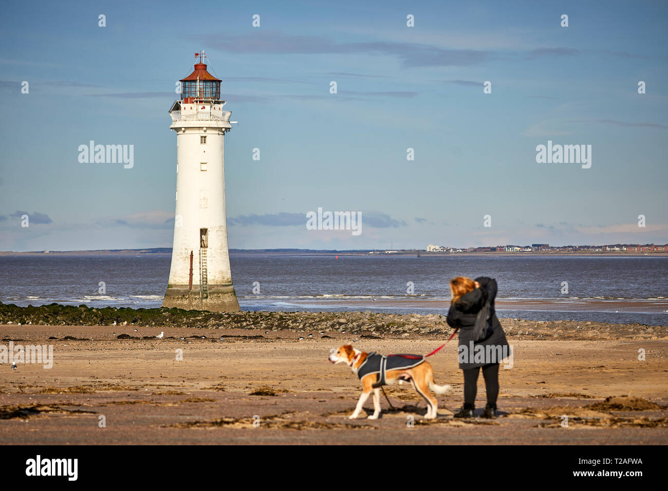 New Brighton Lighthouse  seaside resort  Wallasey, Wirral, Merseyside, England.  Dog walker on the beach Stock Photo