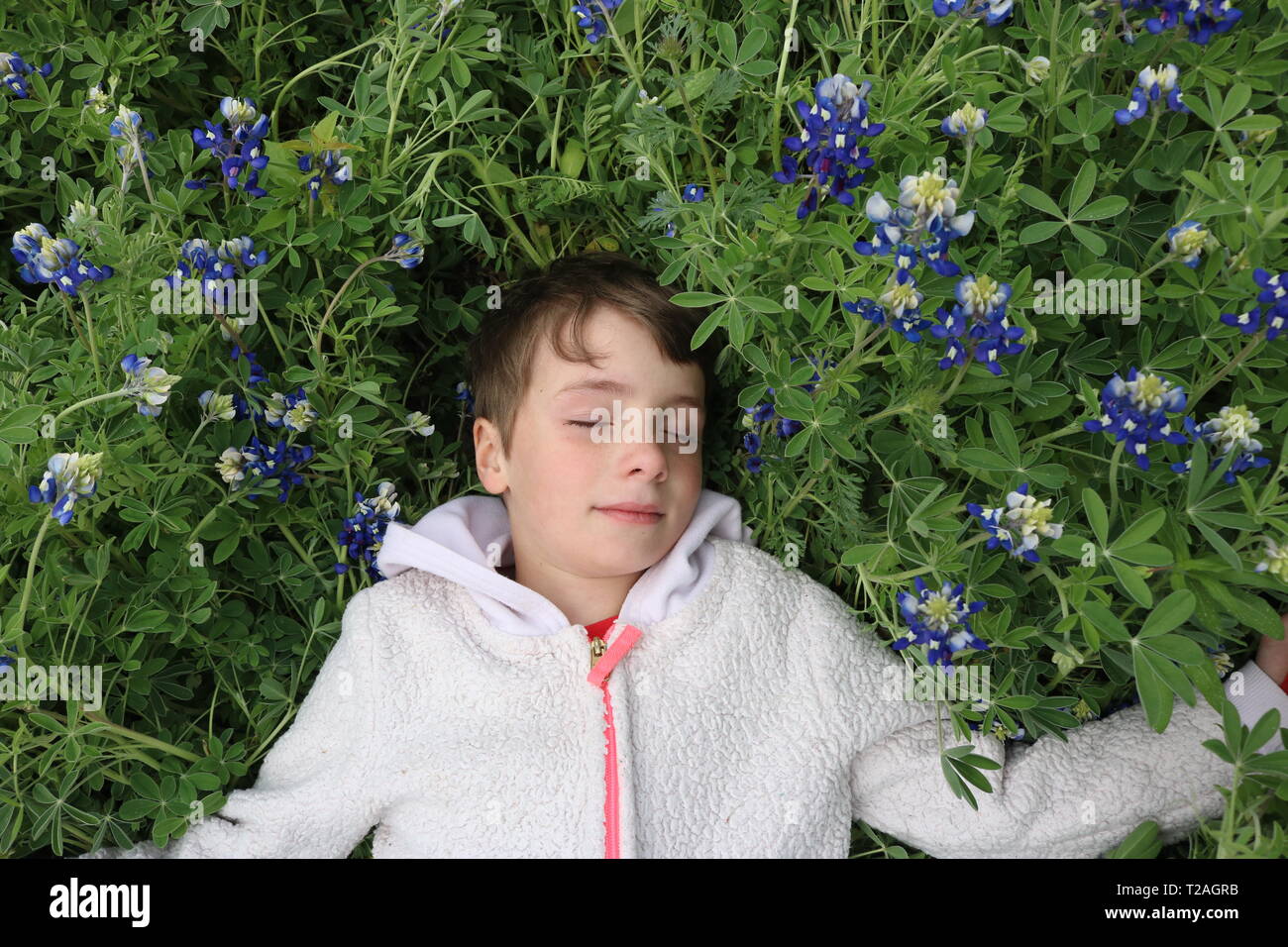 Young girl with short brown hair sleeping in a field of bluebonnets Stock Photo