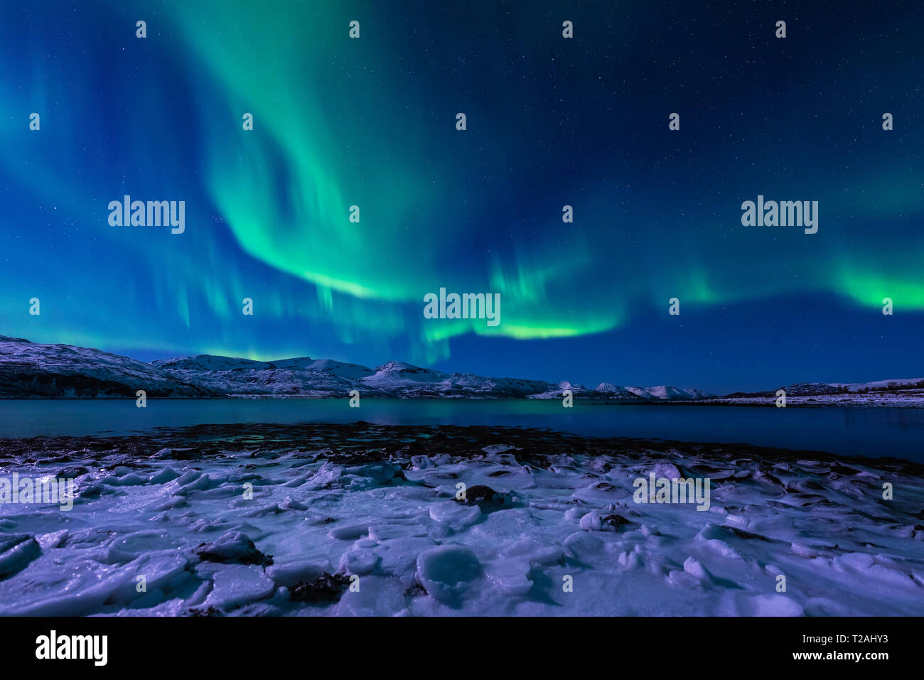 Aurora borealis in tromso hi-res stock photography and images - Alamy
