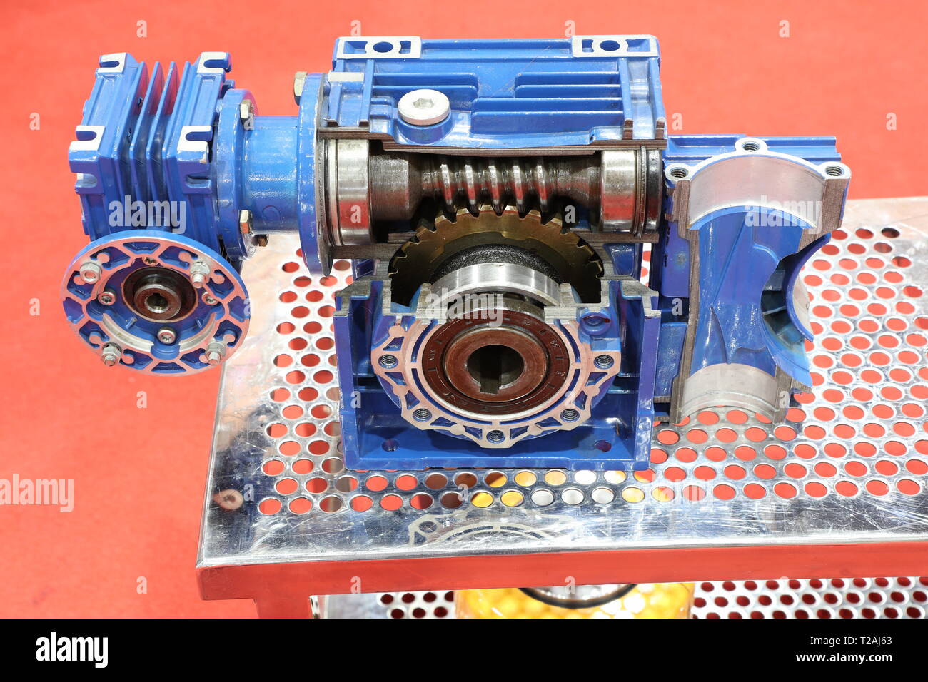 cross section of worm gear pump ; selective focus Stock Photo Alamy