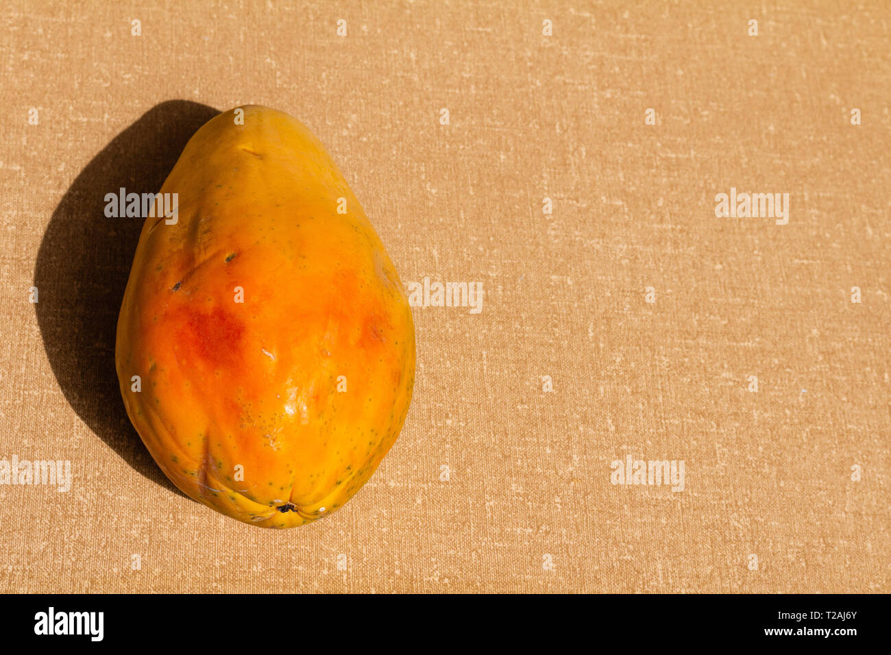 Papaya fruit with textured background. Stock Photo
