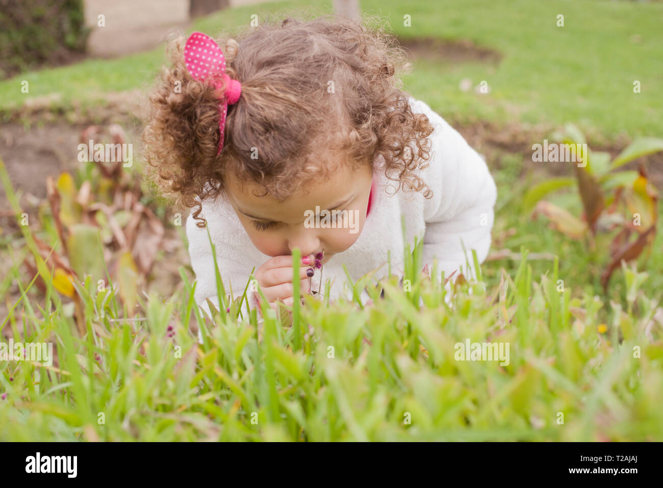 Child smelling flower hi-res stock photography and images - Alamy