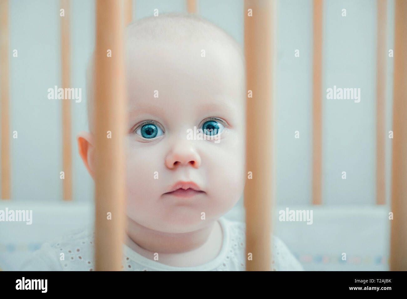 Baby in crib Stock Photo Alamy