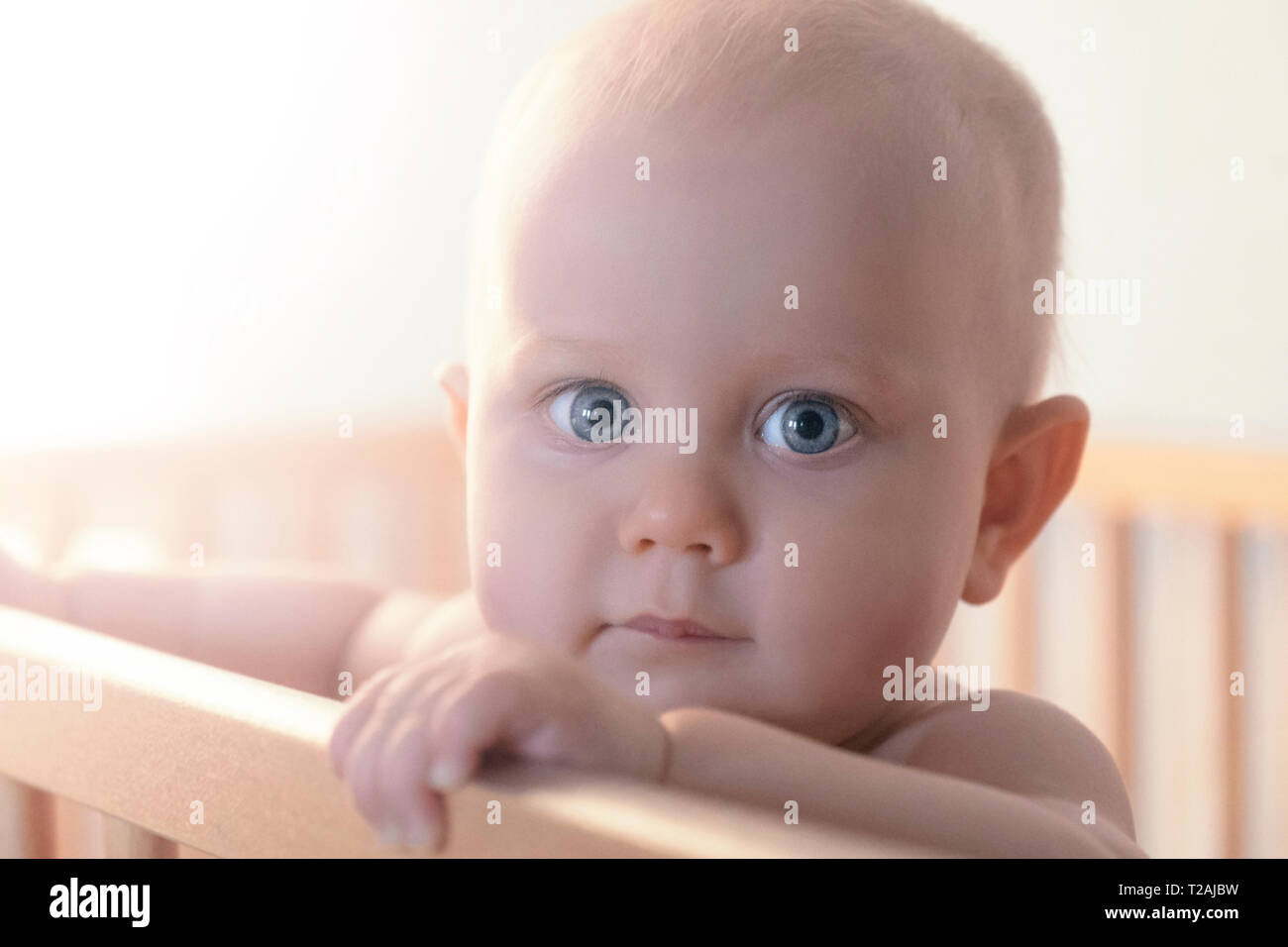 Baby in crib Stock Photo Alamy