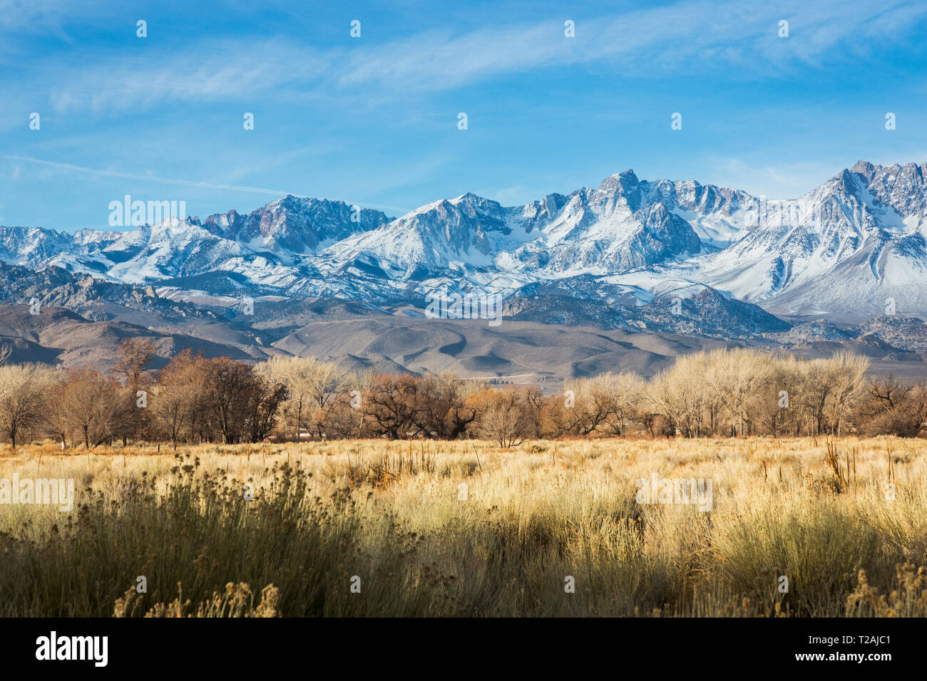 Sierra Nevada mountains in California, USA Stock Photo - Alamy