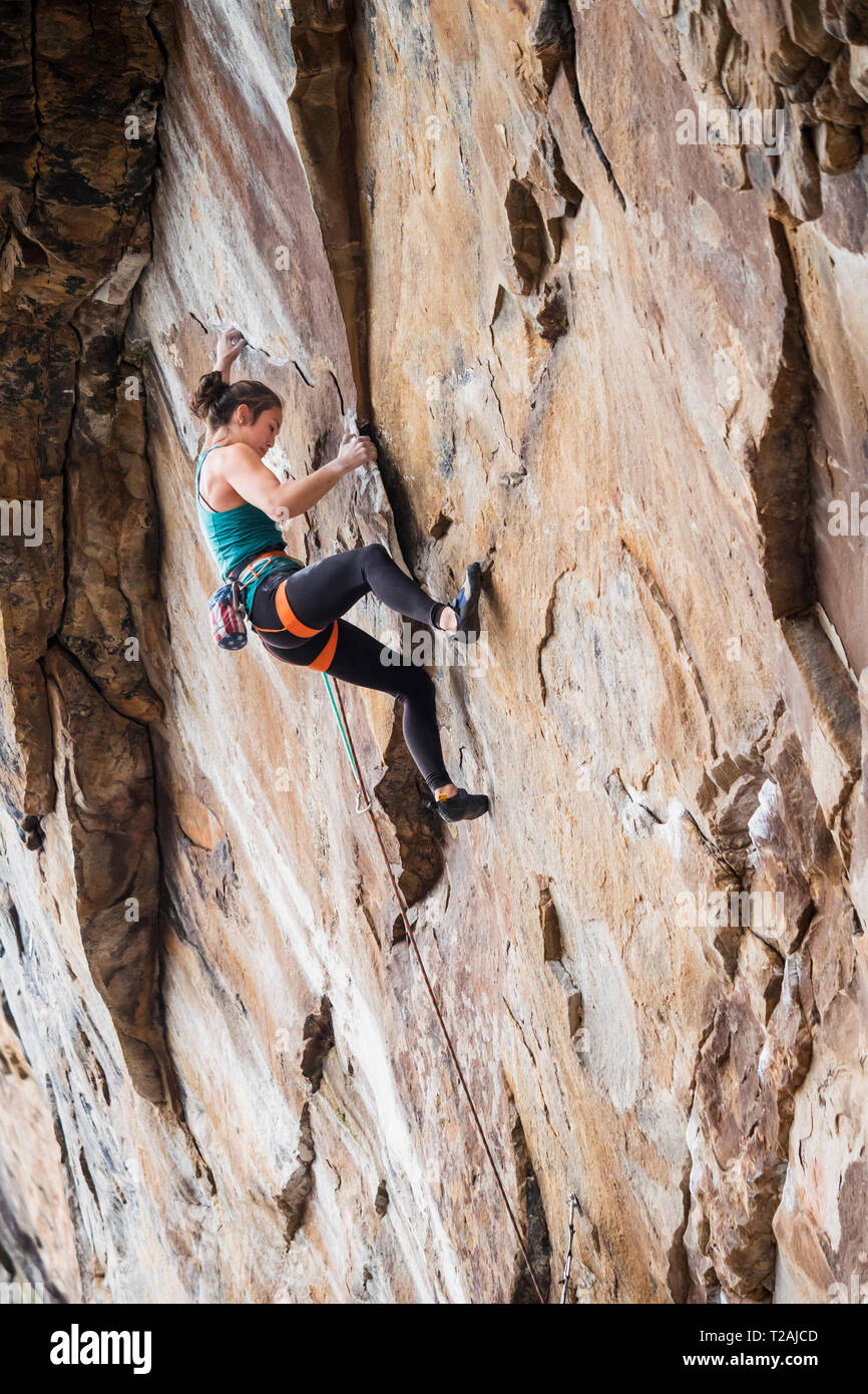 Teenage girl rock climbing Stock Photo Alamy