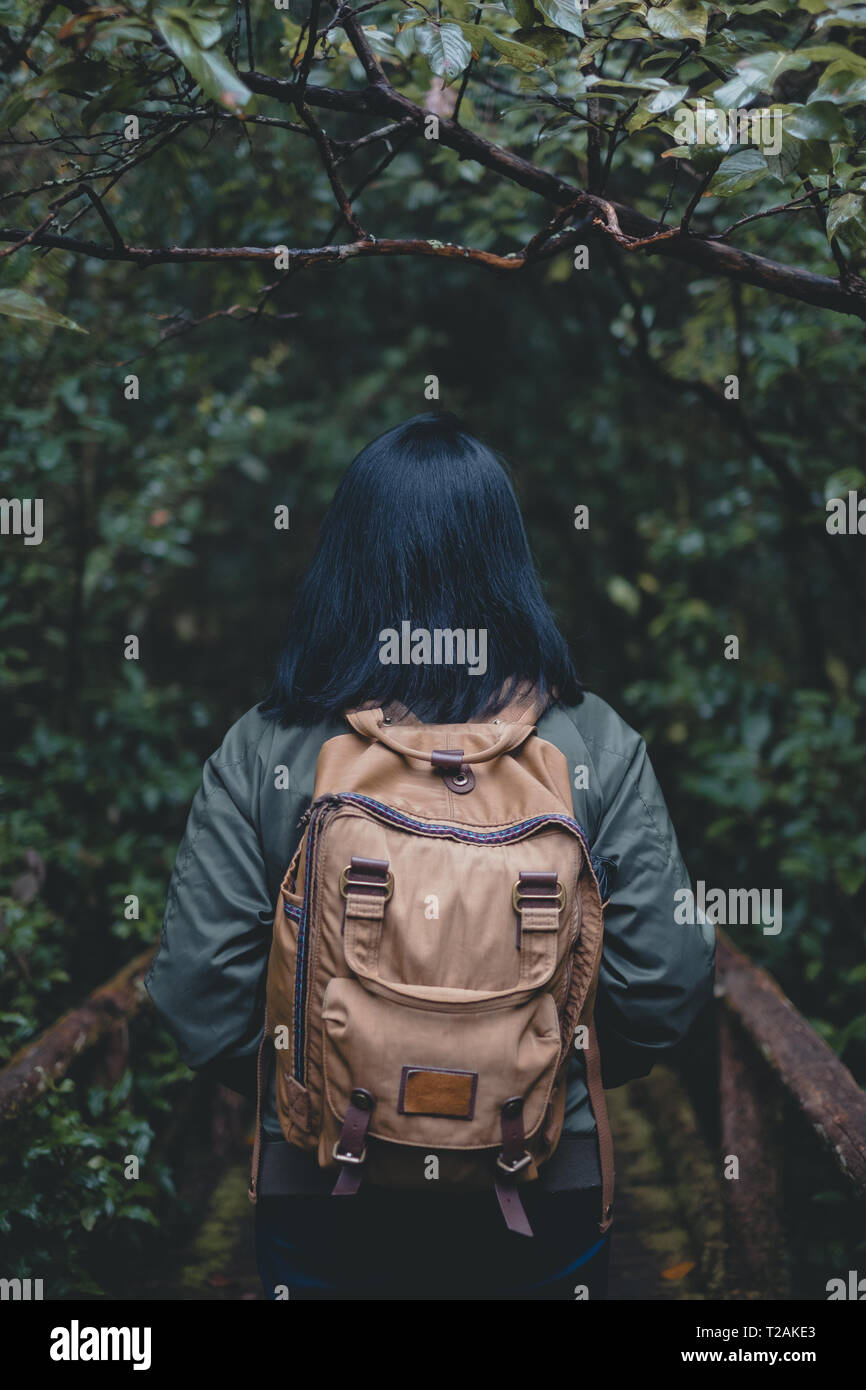 Asian forest hi-res stock photography and images - Alamy