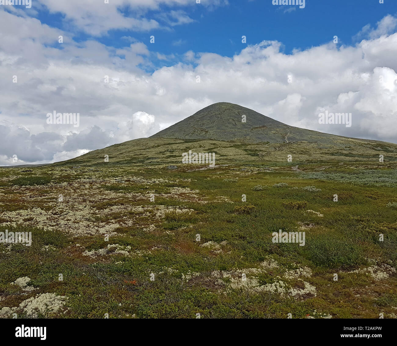High Resolution Rondane Rondane National Park Stock Photo - Alamy