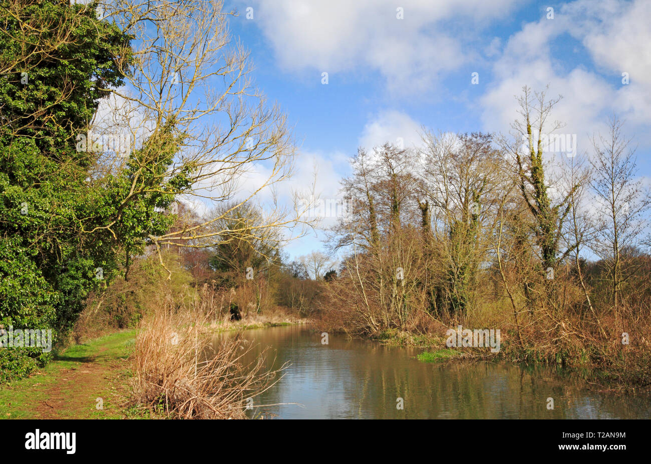 A view of the River Bure and public footpath upstream of Horstead Mill, Norfolk, England, United Kingdom, Europe. Stock Photo