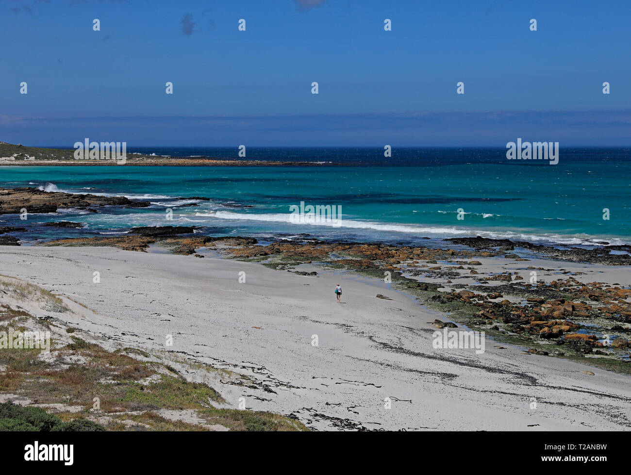 The coastal area near Misty Cliffs along the Atlantic Seaboard, Cape Town, South Africa. Stock Photo