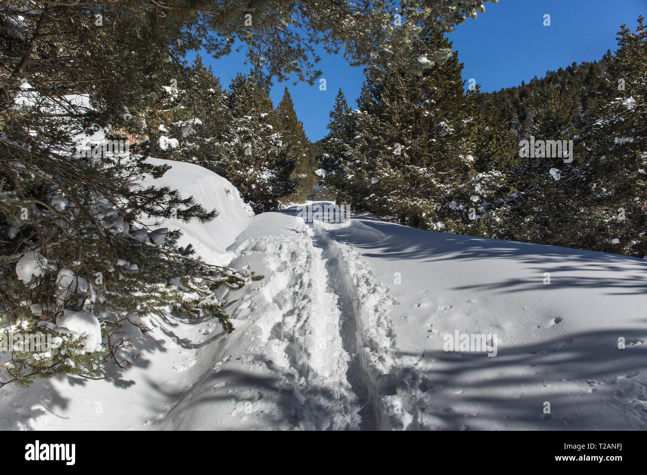 Soriguera hires stock photography and images Alamy