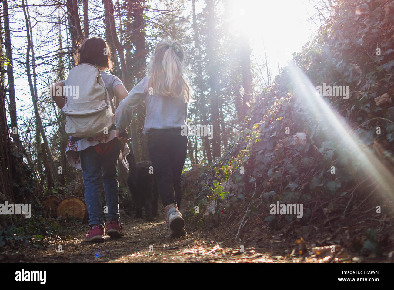 Little girls are walking on the mountain path during a trip with little ...