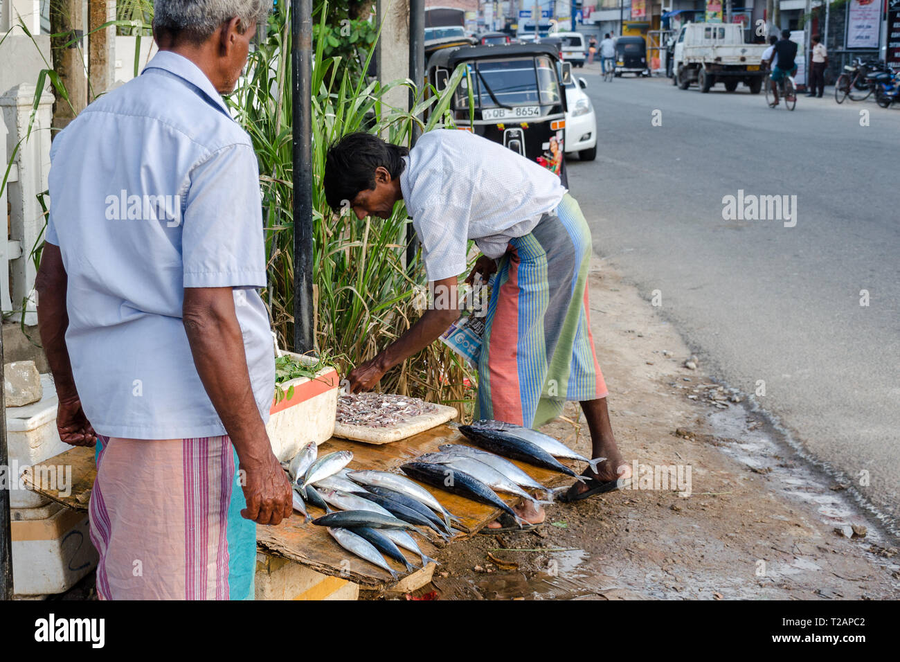 Fish Sales Man Sri Lanka Midigama Stock Photo 1381985642