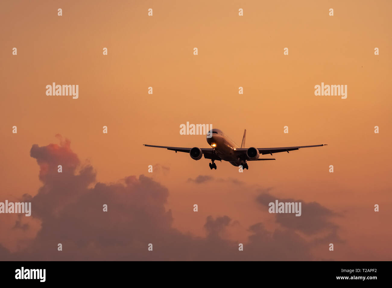 Commercial airline. Passenger plane landing at airport with beautiful sunset  sky and clouds. Arrival flight. Airplane flying in a line for landing. Stock Photo