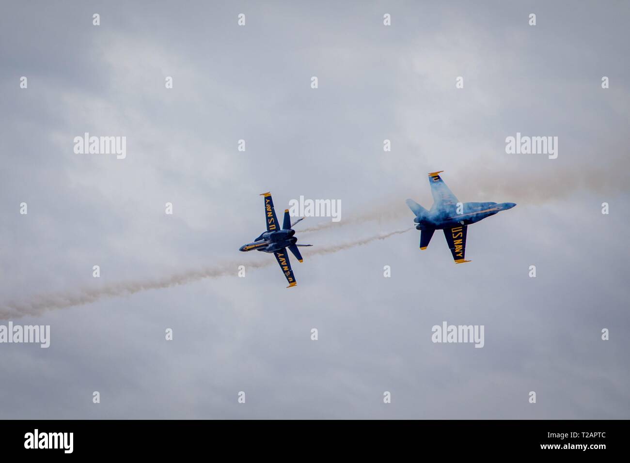 F/A-18 Hornets of the U.S. Navy Blue Angels performing a high speed crossing maneuver at the Marine Corps Air Station Miramar, in September 2018. | usage worldwide Stock Photo