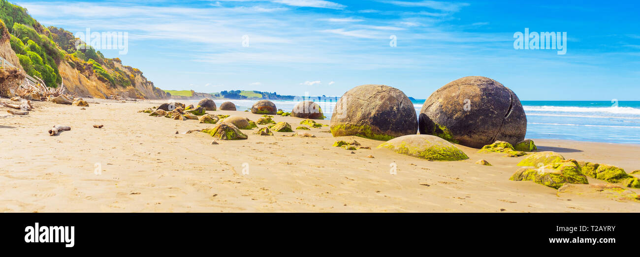 Moeraki boulders on Koyokokha beach in the Otago region, New Zealand. Copy space for text Stock Photo