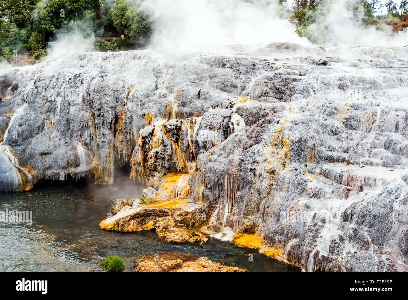 Hot Springs in Te Puia, Rotorua in New Zealand on the North Island Stock Photo
