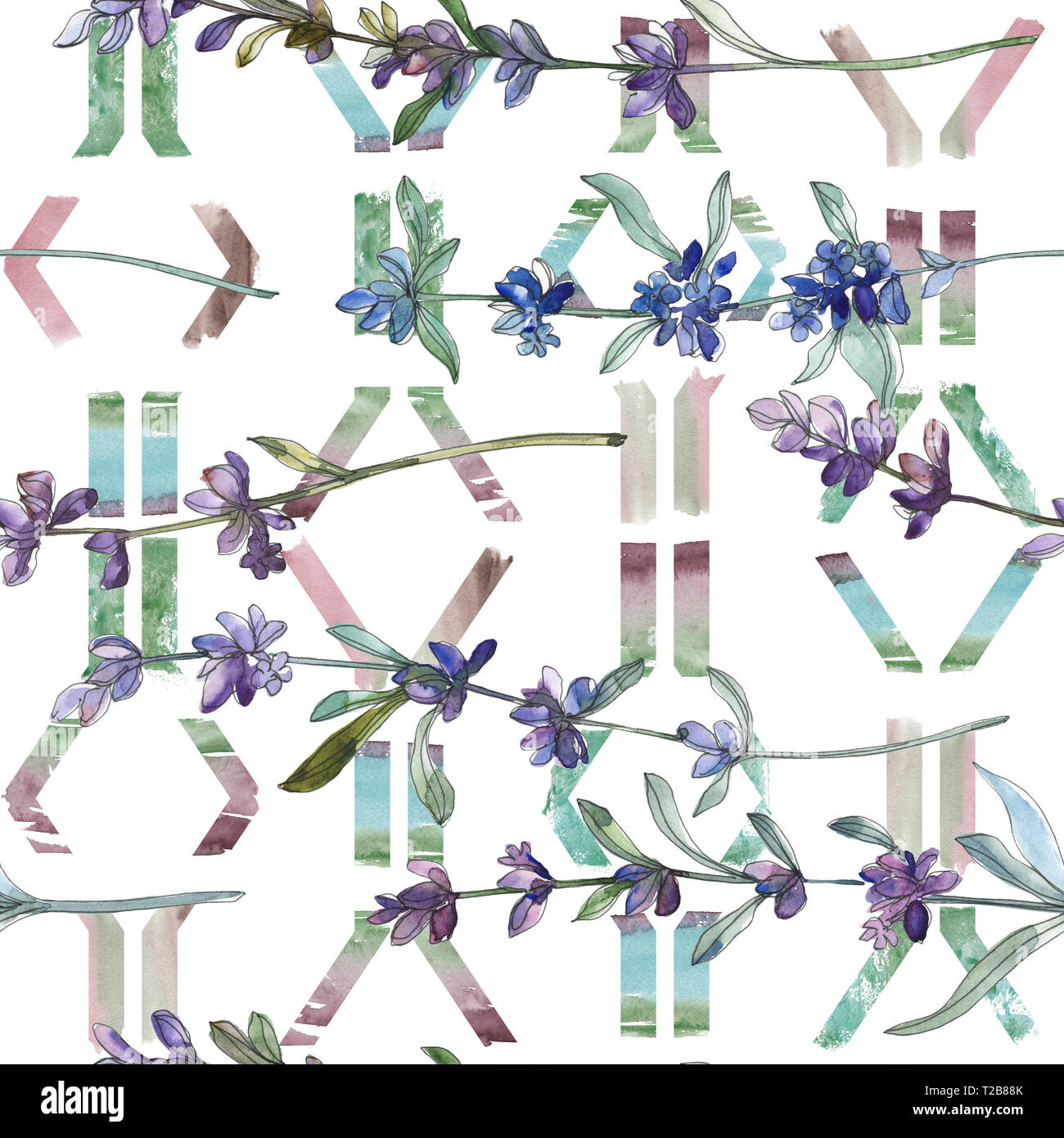 Purple lavender floral botanical flower. Watercolor background ...