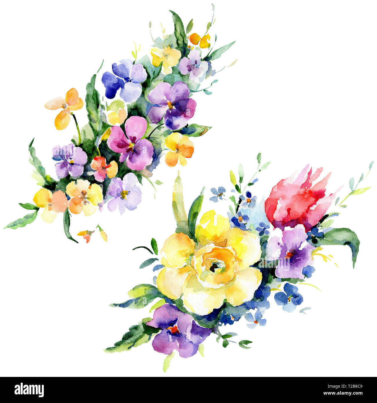Bouquets floral botanical flowers. Watercolor background illustration ...