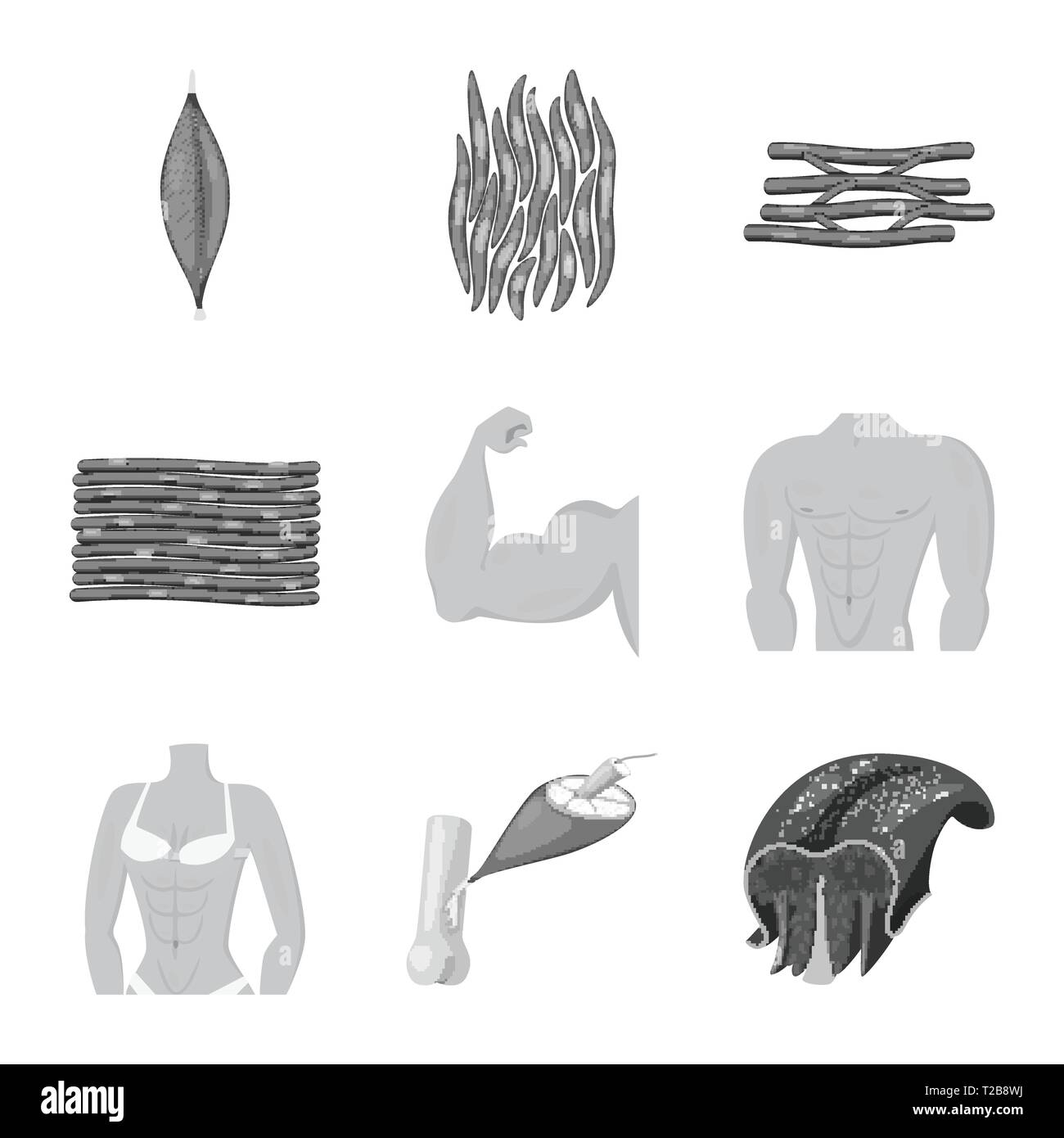 Vector illustration of human and body icon. Collection of human and ...