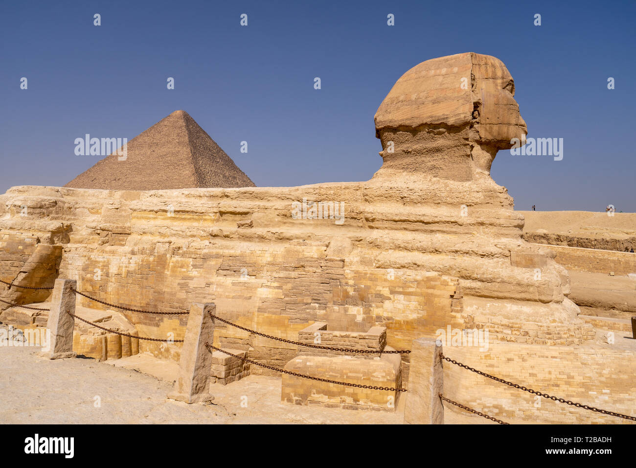 Great Sphinx of Giza, with the Great Pyramid in the background Stock ...