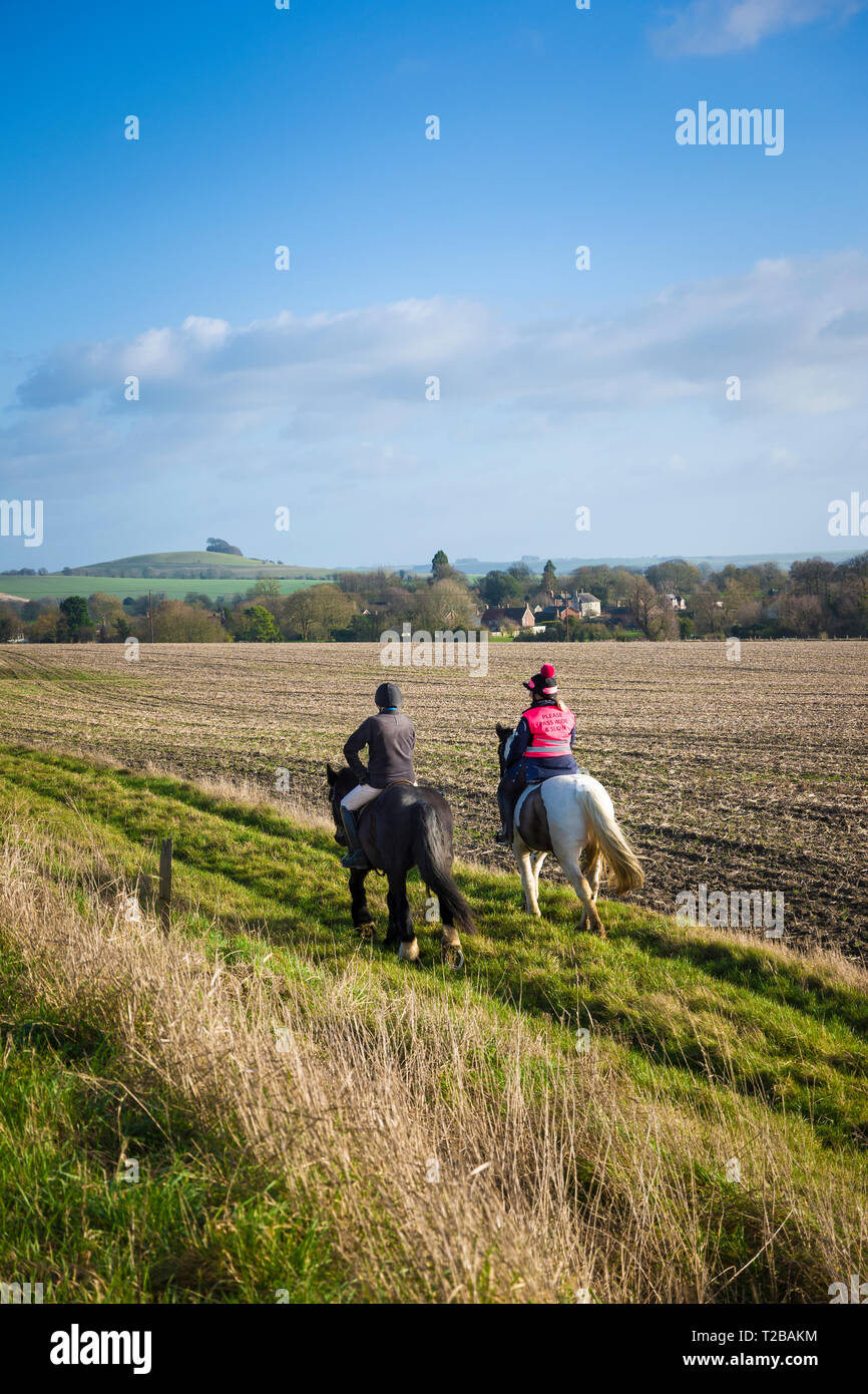 Two adults riding horses along a fieldside track, off-road, in an arable landscape at Stanton St Bernard near Pewsey Wiltshire England UK on a fine da Stock Photo