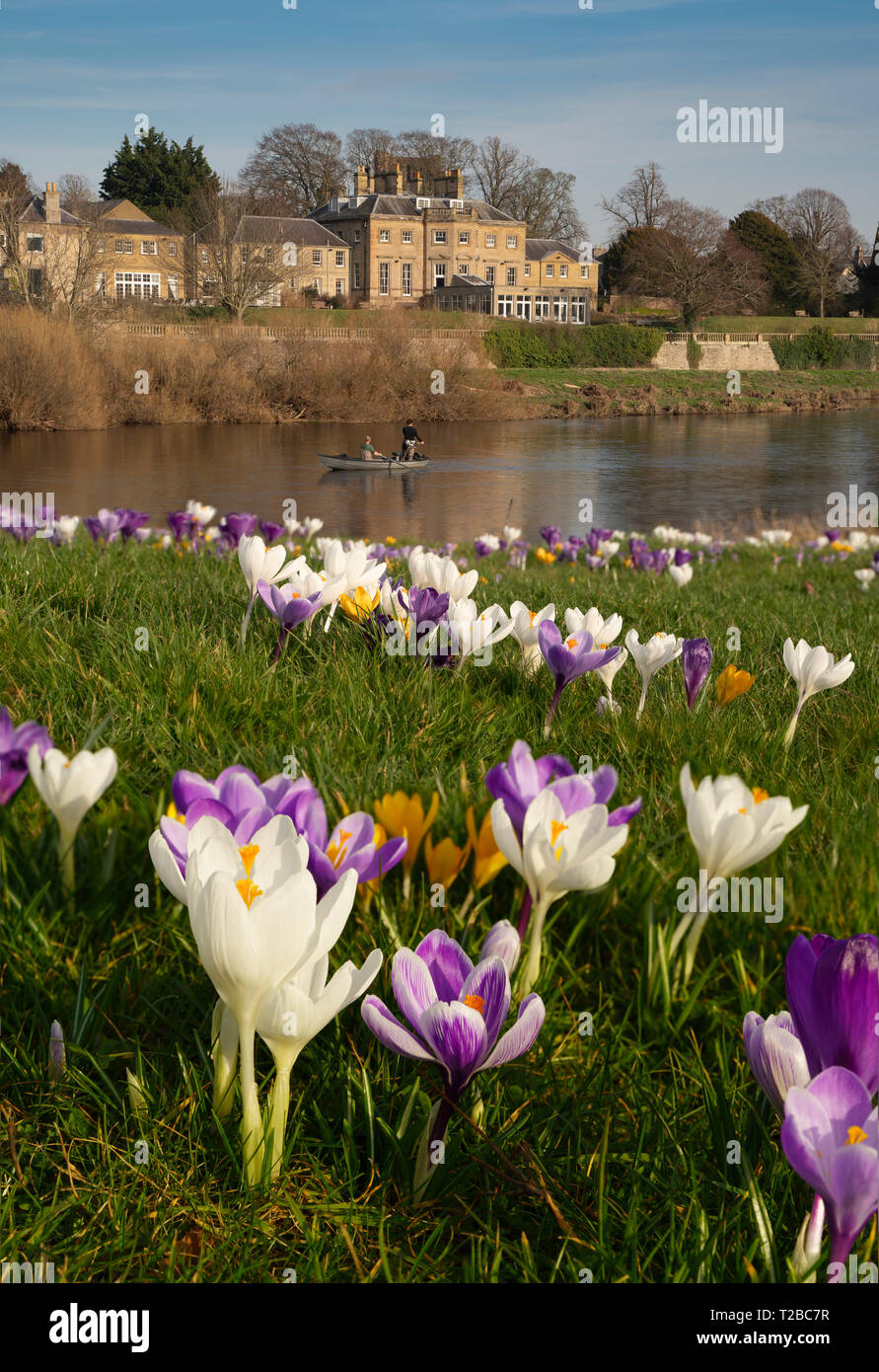 Ednam hires stock photography and images Alamy