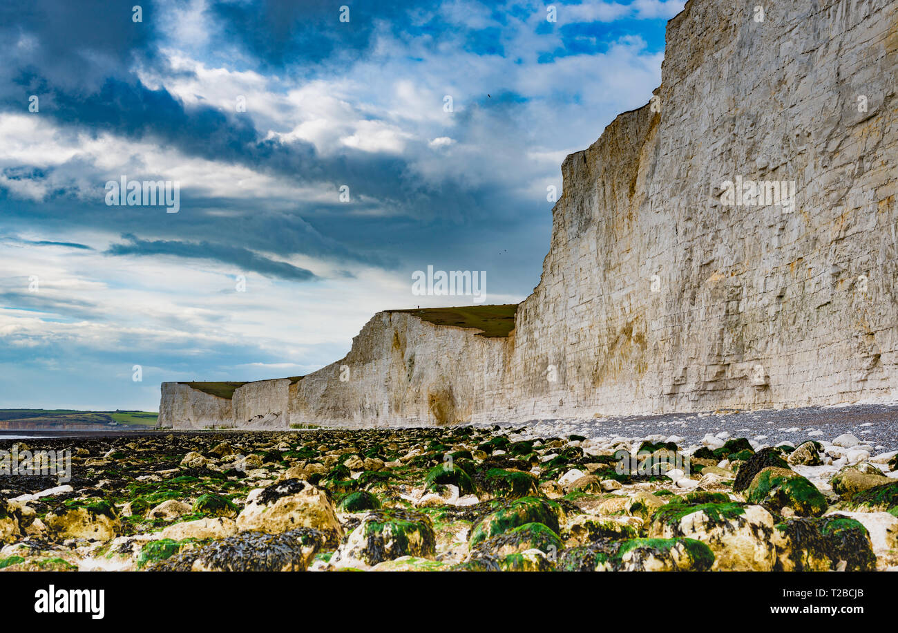 The 'Seven Sisters' white chalk cliffs in East Sussex in England Stock Photo