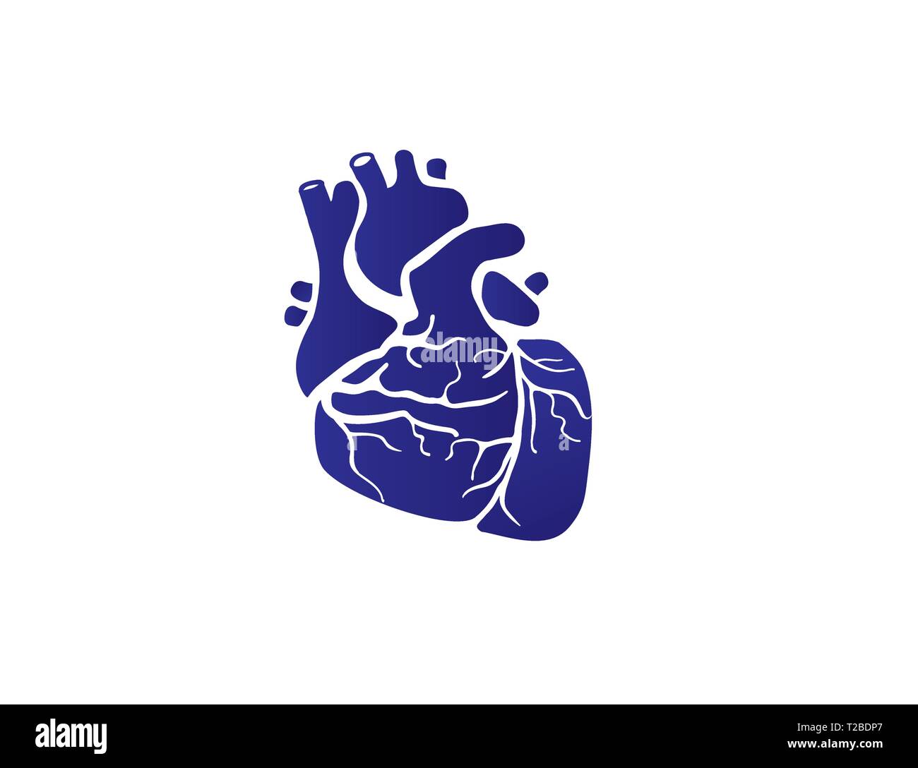 Graphic medical icon of a human heart Stock Vector Image & Art - Alamy