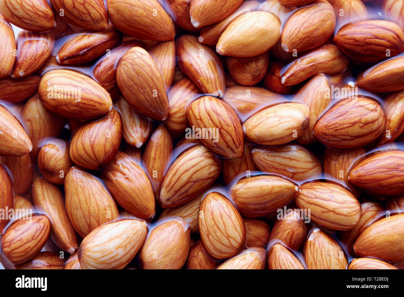 Soaking almonds in water. Almonds being softened in water to create almond milk. Stock Photo