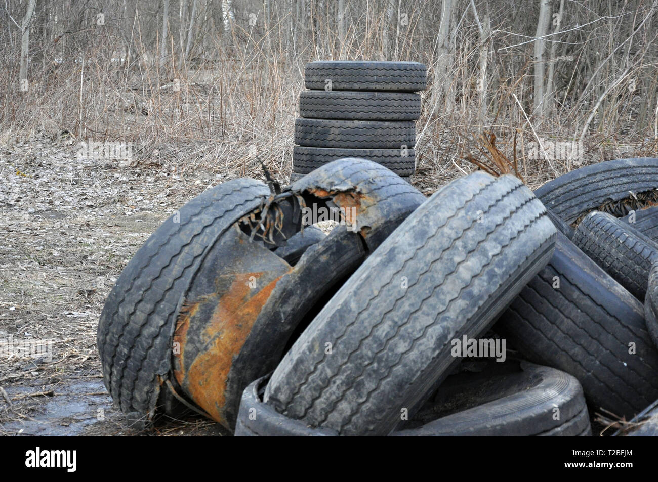 Pile of old tires and wheels for rubber recycling. Tyre dump Stock
