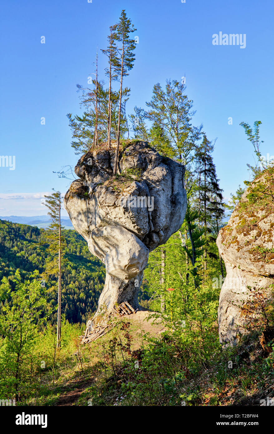 Forest with big rock, Budzogan Stock Photo
