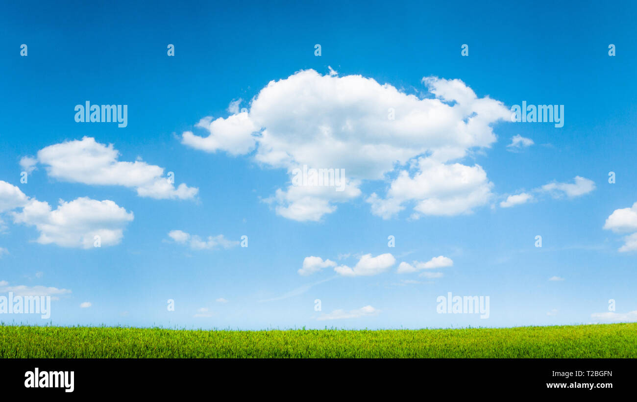 blue sky and summer green field landscape Stock Photo - Alamy